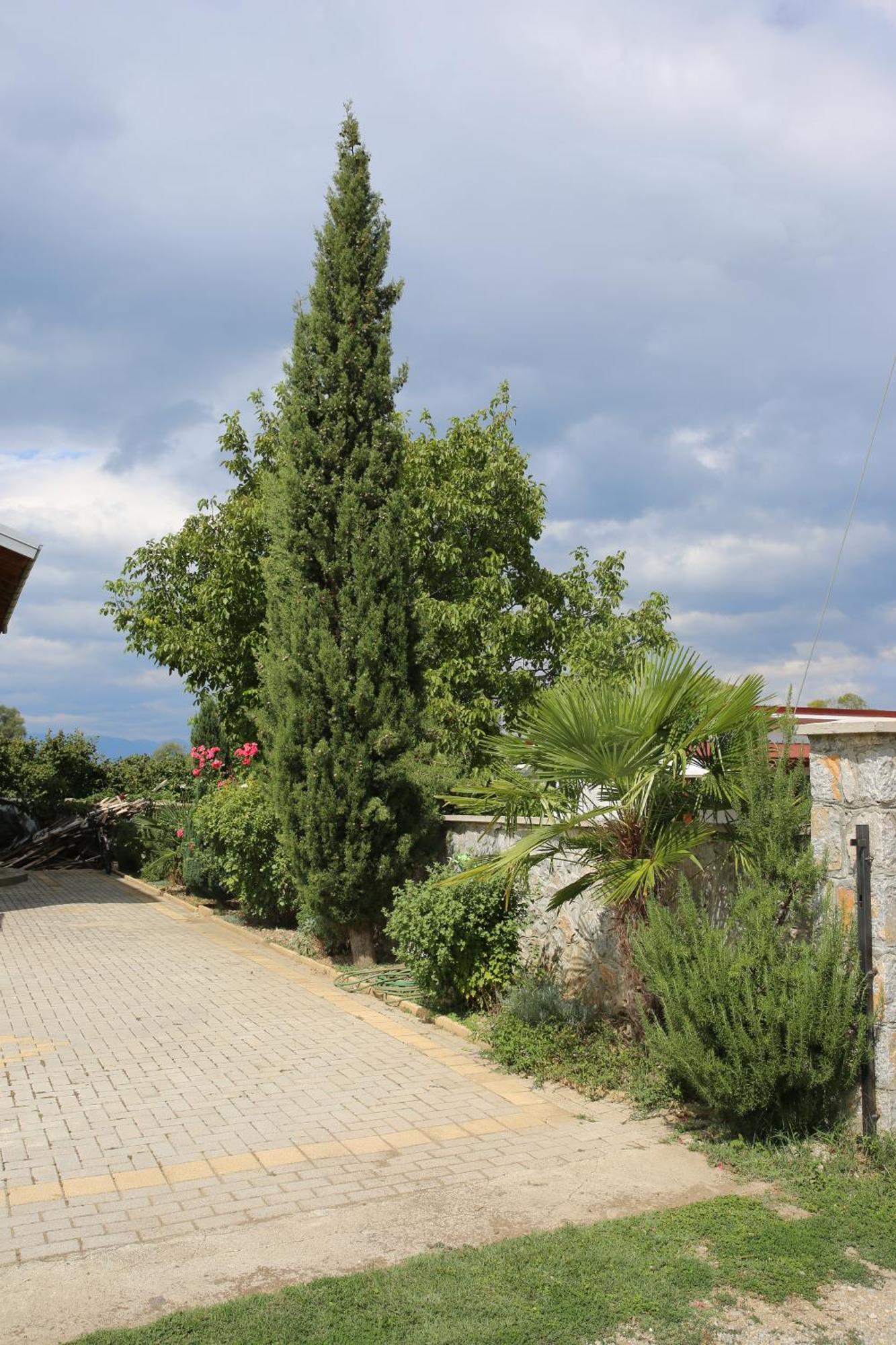 Villa Goriza Prestige Охрид Екстериор снимка